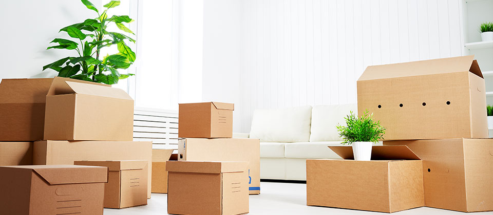 Quality Packing & Moving in Bangalore